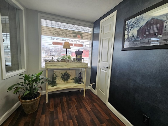 sitting room with baseboards and wood finished floors