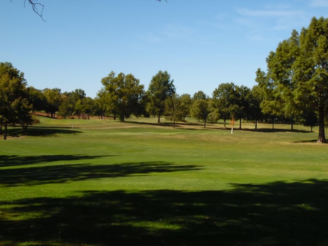 view of community with a lawn