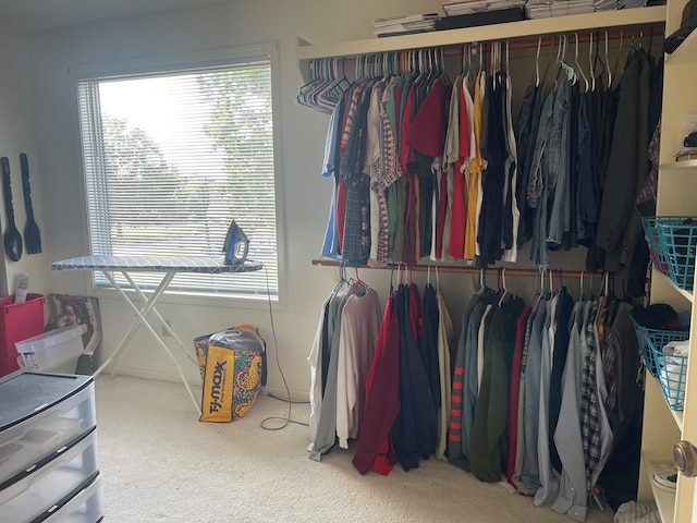 spacious closet with carpet floors