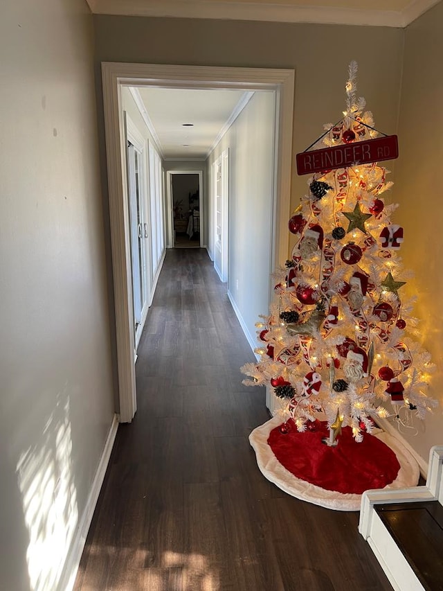 corridor with dark hardwood / wood-style floors and crown molding