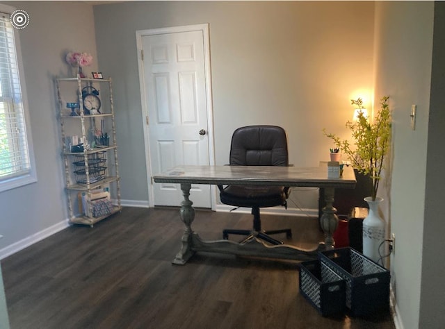 office area featuring dark hardwood / wood-style flooring