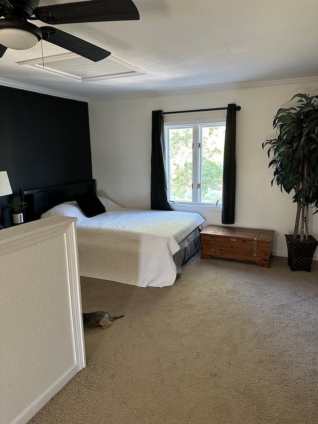 bedroom featuring carpet flooring, ceiling fan, crown molding, and a textured ceiling