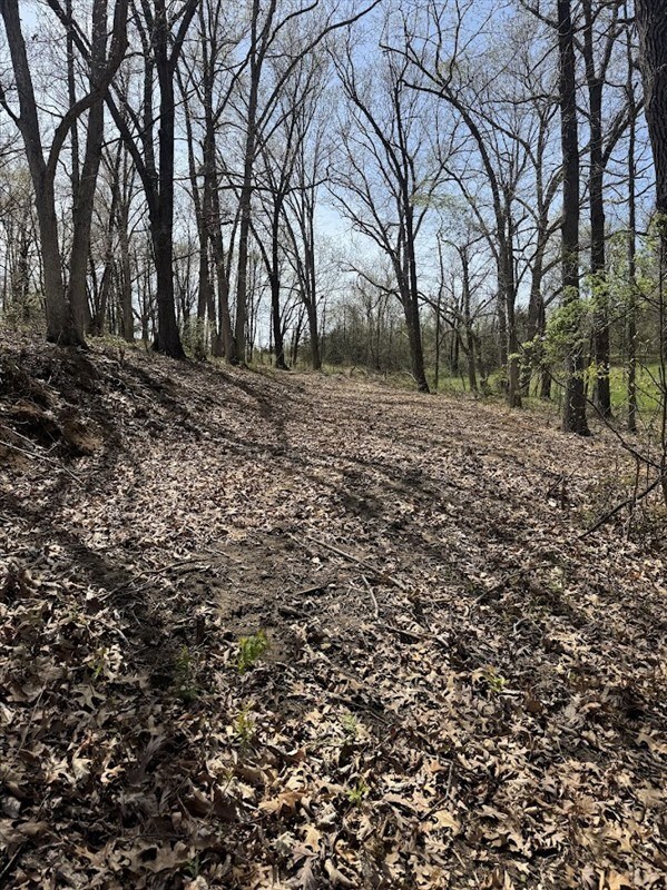 1805 Robinhood Ln 1803, Macon, MO 63552 - photo 5