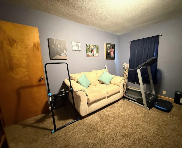 609 E Clark St, La Plata, MO 63549 - workout area featuring carpet flooring and a textured ceiling