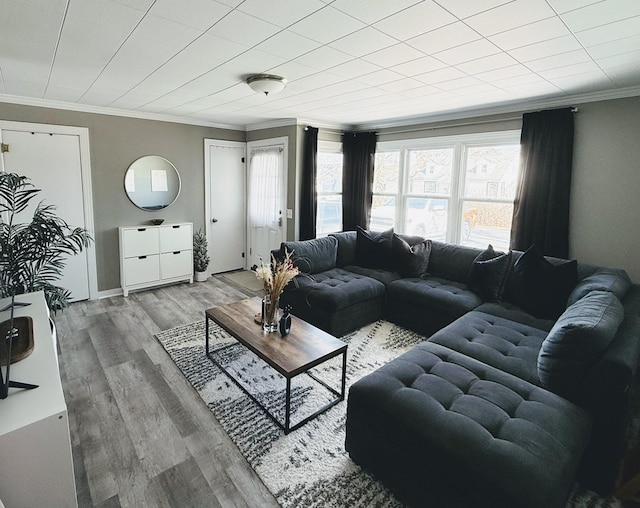 living room with crown molding and wood finished floors