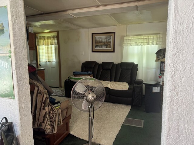 701 Vernon St, Laclede, MO 64651 - view of living room