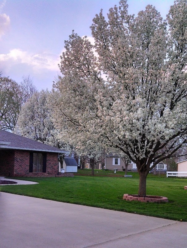 surrounding community featuring a lawn