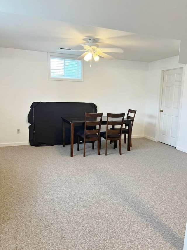 810 Cleaver Dr, Kirksville, MO 63501 - photo 24