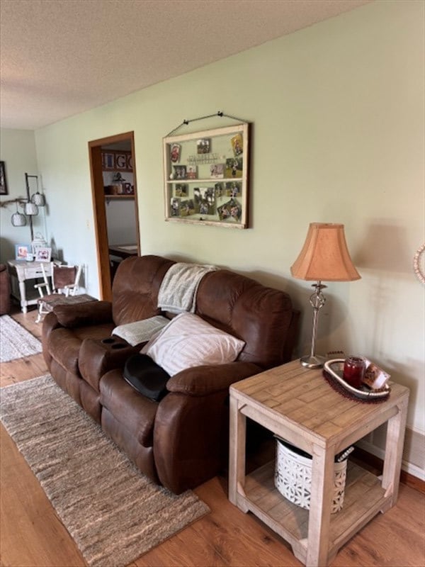 34829 State Highway C, Bevier, MO 63532 - living room featuring wood finished floors and a textured ceiling
