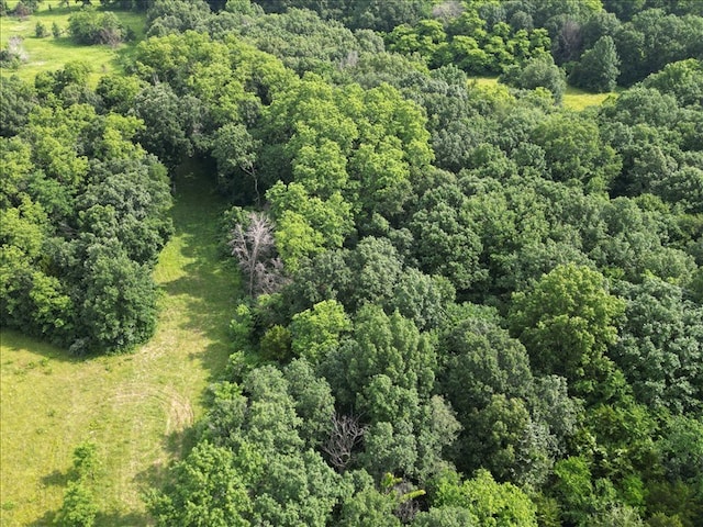 34829 State Highway C, Bevier, MO 63532 - view of property location featuring a forest