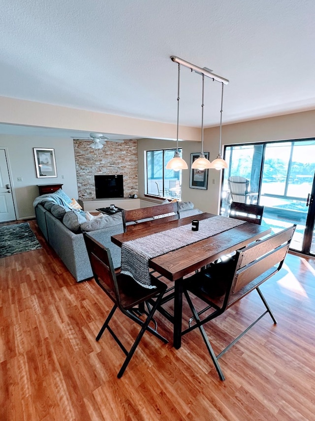 dining room featuring a stone fireplace, track lighting, light hardwood / wood-style floors, and a textured ceiling