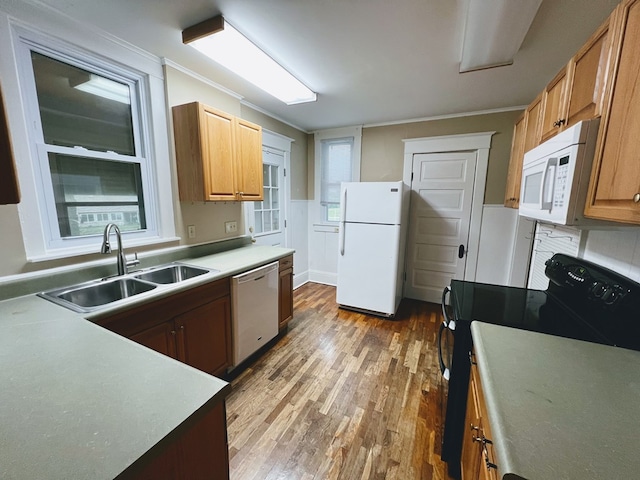 kitchen featuring hardwood / wood-style floors, white appliances, crown molding, sink, and plenty of natural light