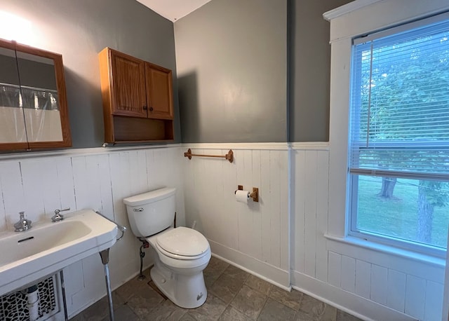 bathroom with sink, a healthy amount of sunlight, and toilet