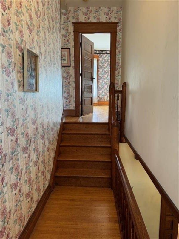 stairway with hardwood / wood-style floors