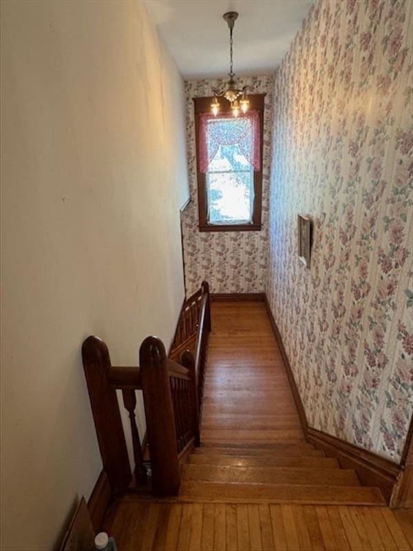 corridor featuring hardwood / wood-style floors and an inviting chandelier