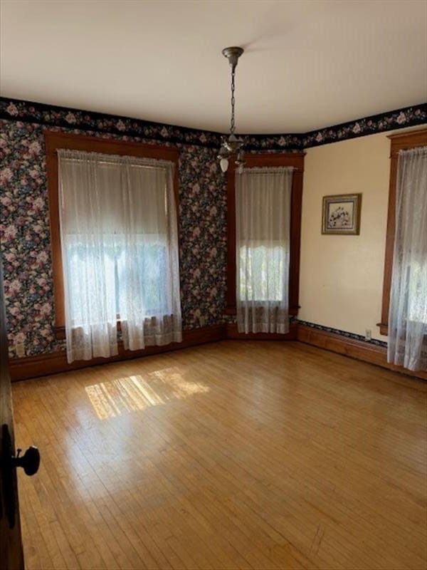 unfurnished room featuring light hardwood / wood-style floors and a healthy amount of sunlight