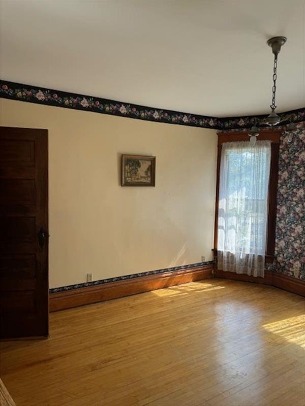 spare room with wood-type flooring