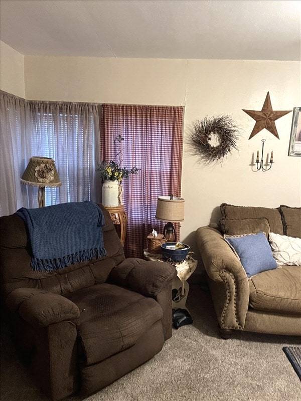 201 N Wentz, Macon, MO 63552 - view of carpeted living room
