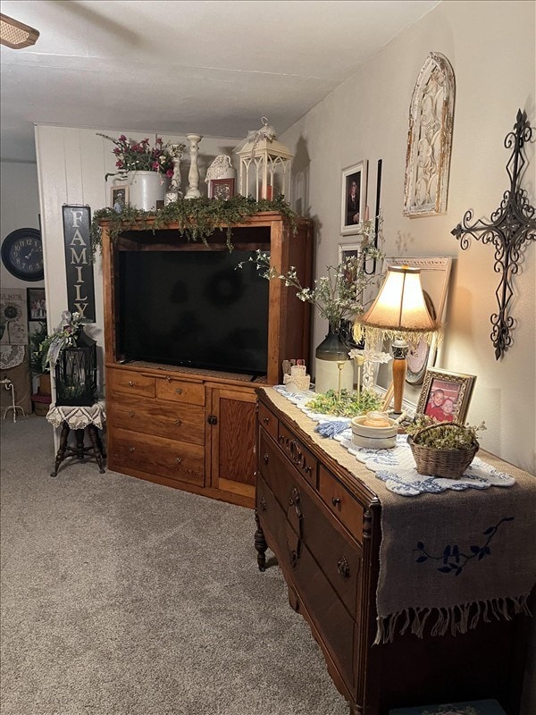 201 N Wentz, Macon, MO 63552 - living area featuring carpet flooring