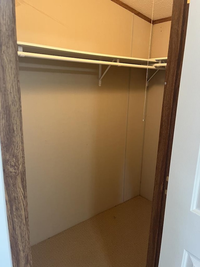 walk in closet with carpet floors