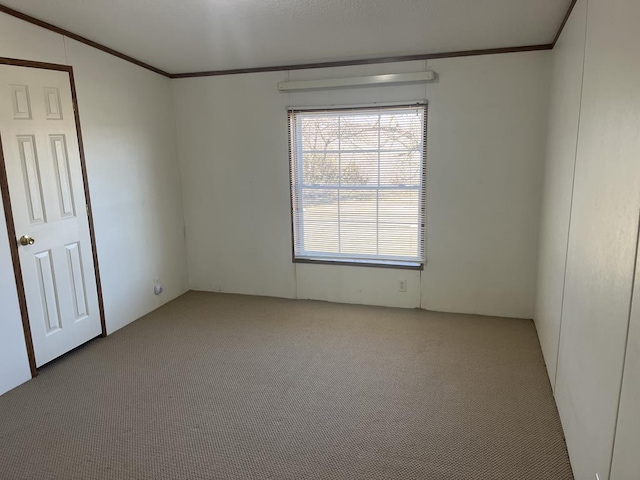 carpeted spare room with ornamental molding