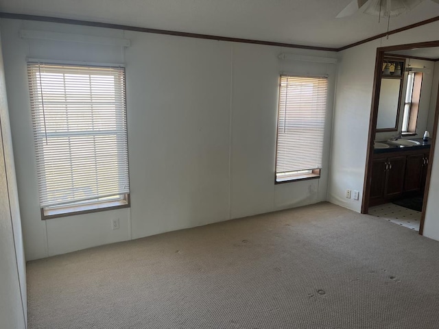 unfurnished bedroom featuring multiple windows, ensuite bath, ornamental molding, and carpet flooring