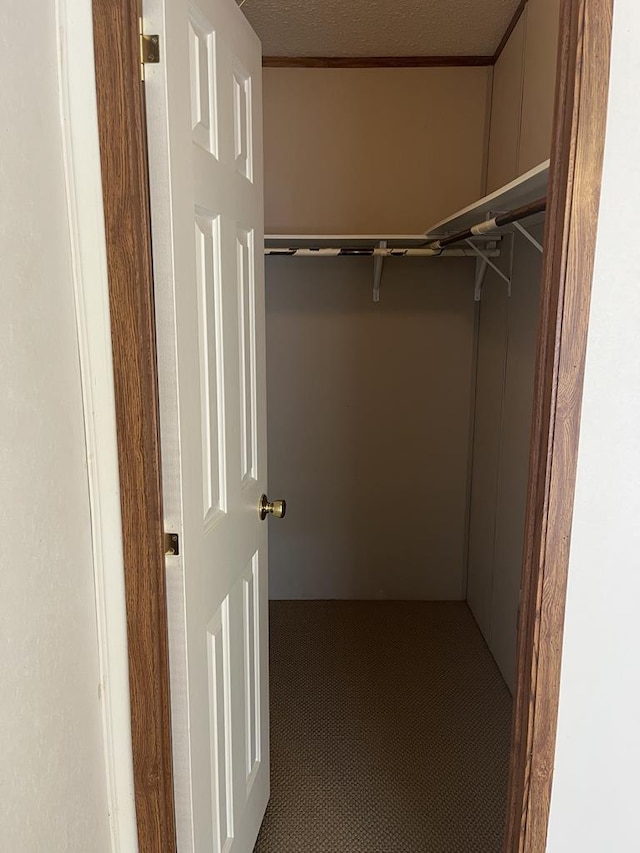 spacious closet with carpet