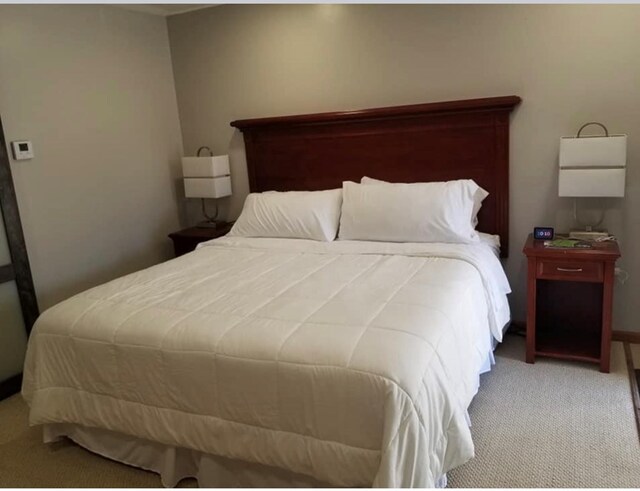 101 S Main St, Usa, Marceline, MO 64658 - bedroom with carpet floors