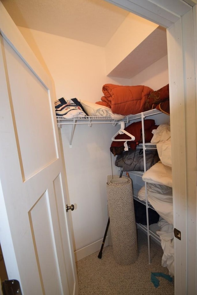 spacious closet with carpet flooring