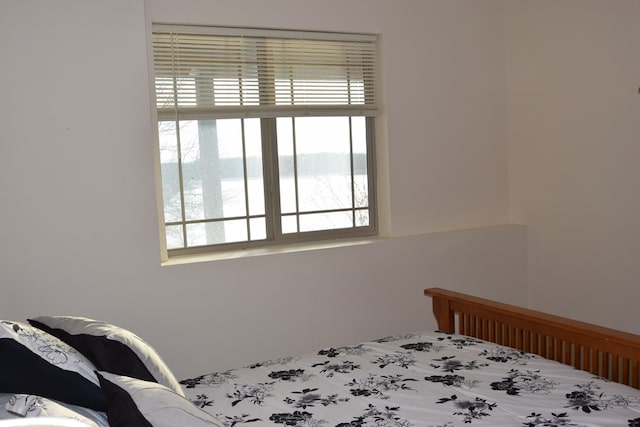 bedroom featuring a water view and multiple windows