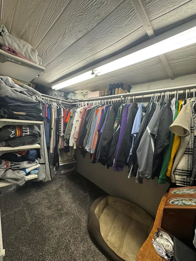 113 Elm St, Milan, MO 63556 - walk in closet featuring carpet flooring