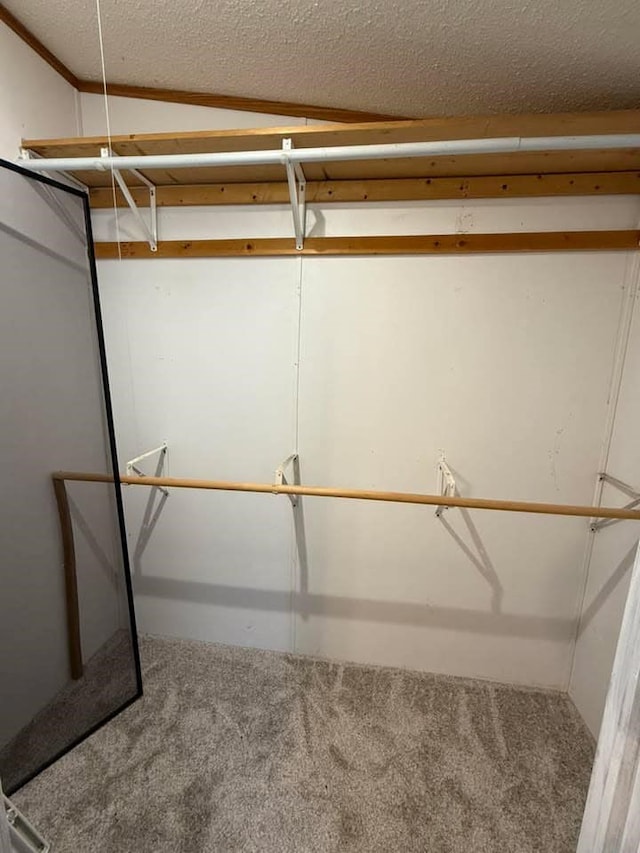 spacious closet featuring carpet