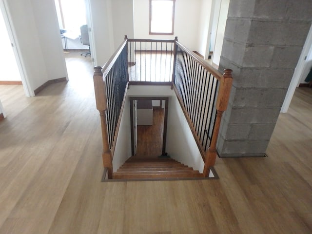 staircase featuring wood-type flooring