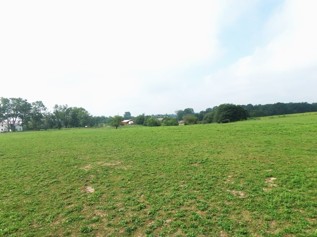 view of yard with a rural view