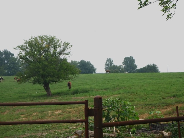 view of yard featuring a rural view