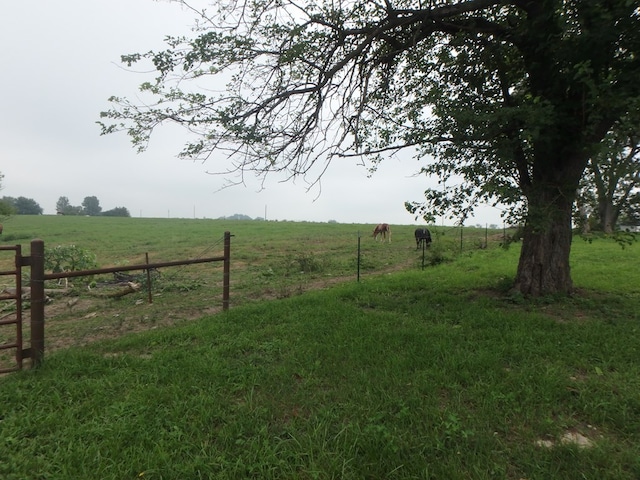 view of yard with a rural view