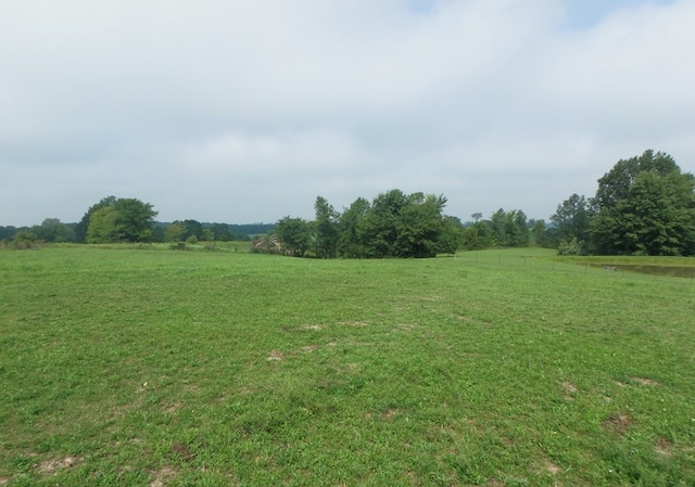 view of yard with a rural view