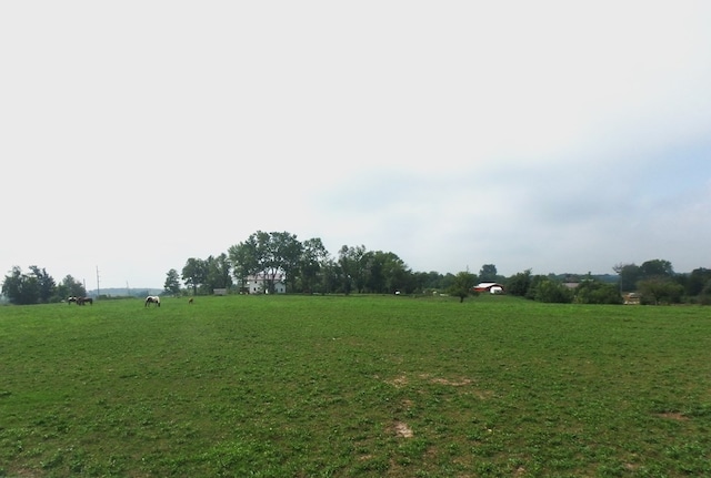 view of yard with a rural view