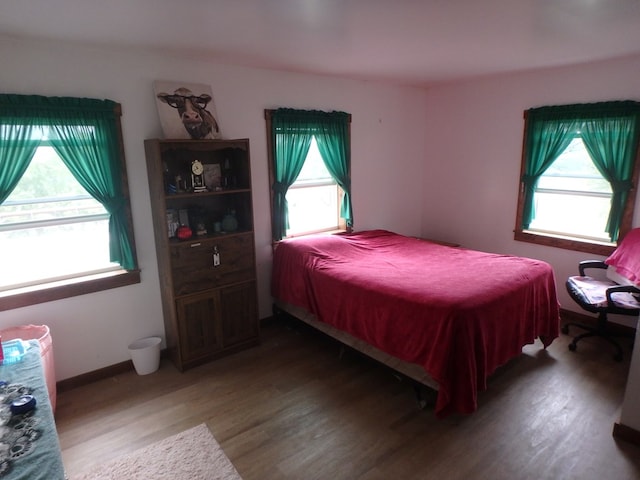 bedroom featuring hardwood / wood-style floors and multiple windows