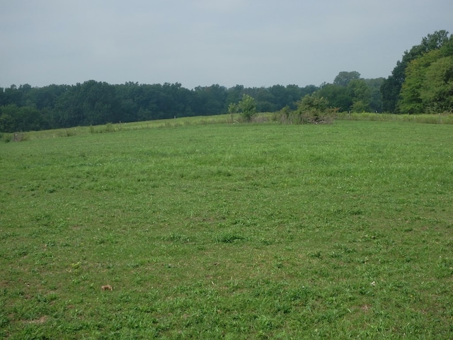 view of local wilderness featuring a rural view