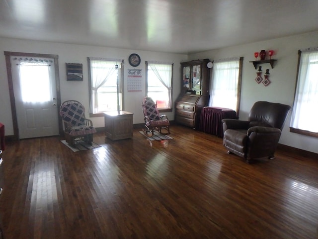 living room featuring dark wood-type flooring and radiator