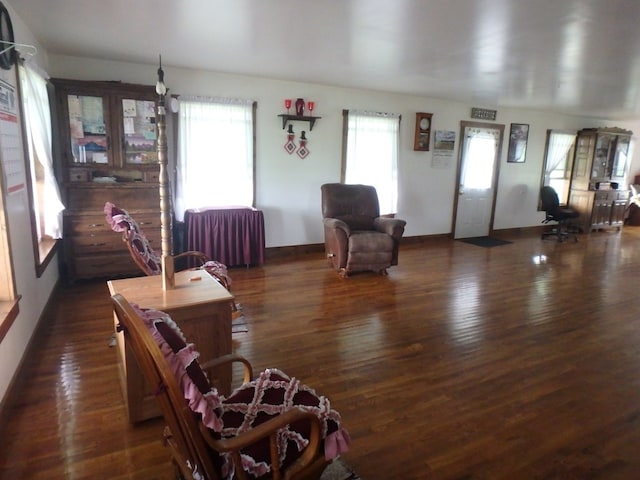 living room featuring a healthy amount of sunlight and dark hardwood / wood-style flooring