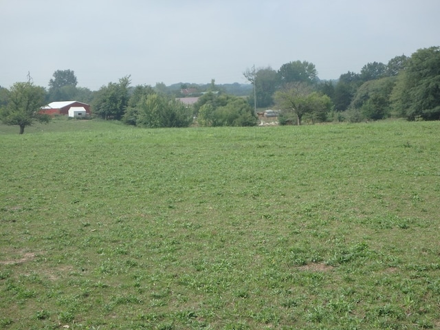 view of yard with a rural view