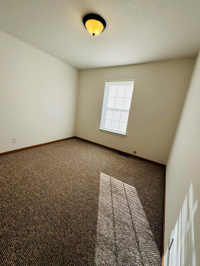 spare room featuring carpet and a textured ceiling