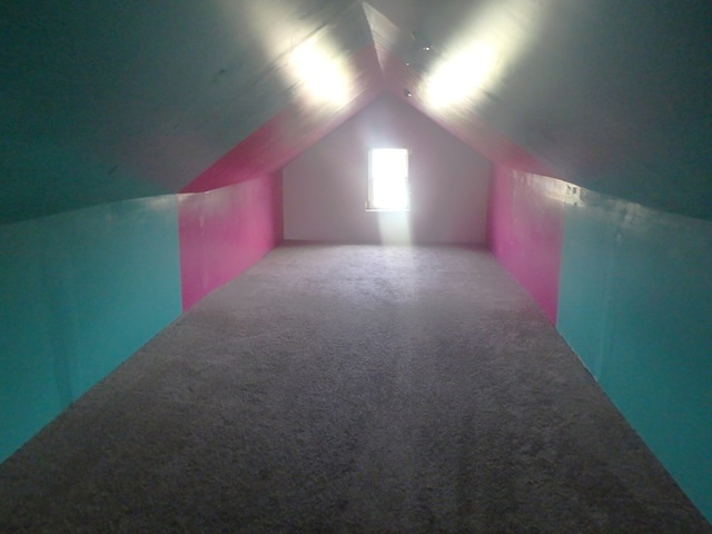 302 N King St, Brashear, MO 63533 - additional living space with vaulted ceiling and carpet floors
