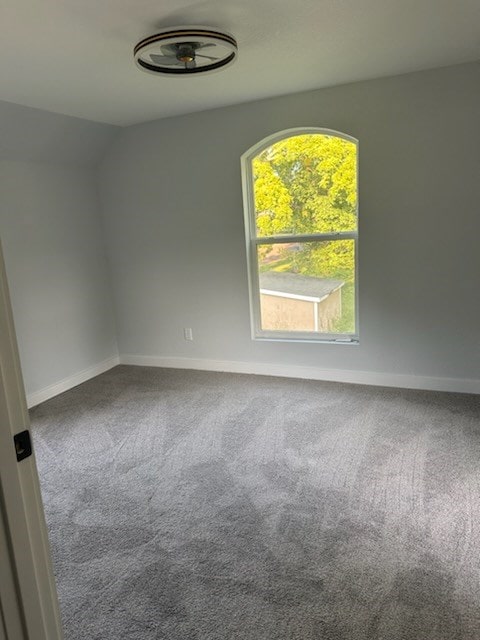 empty room with carpet flooring