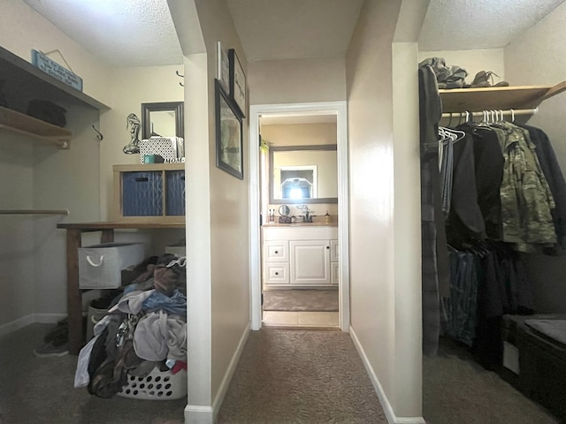 walk in closet with carpet flooring and a sink