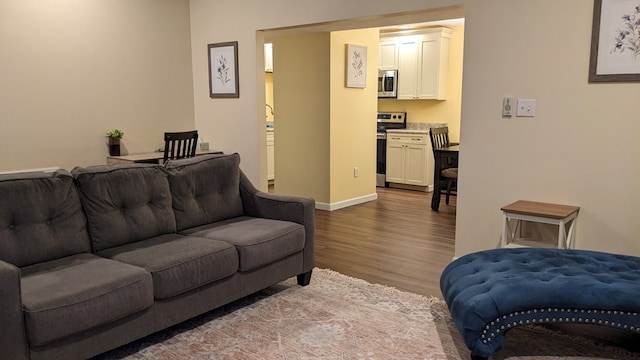 living room featuring hardwood / wood-style floors