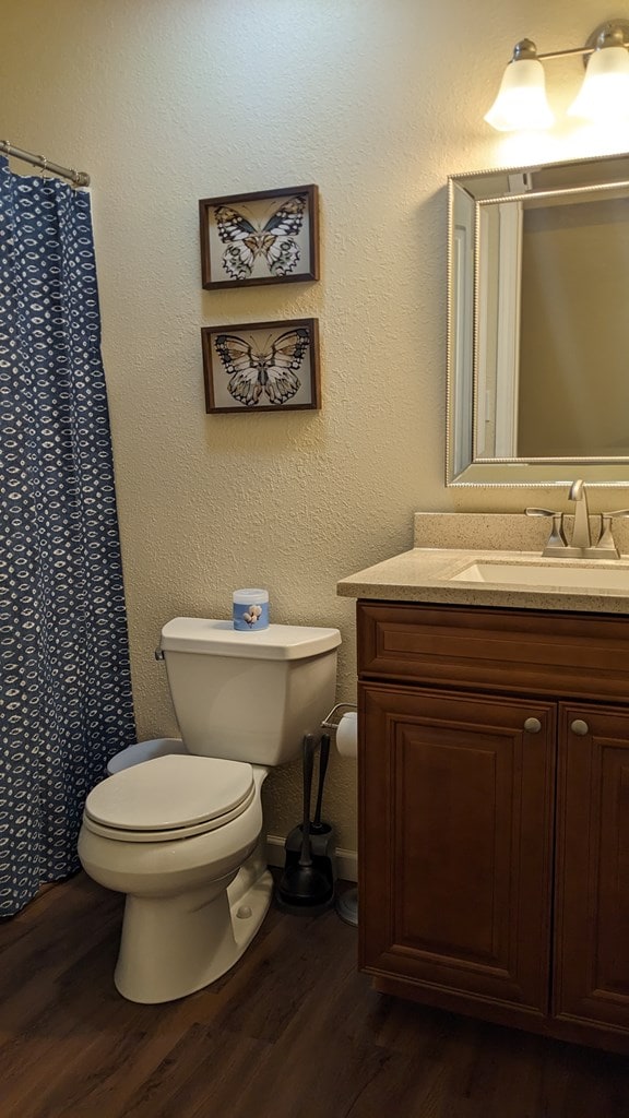 bathroom with hardwood / wood-style floors, vanity, and toilet