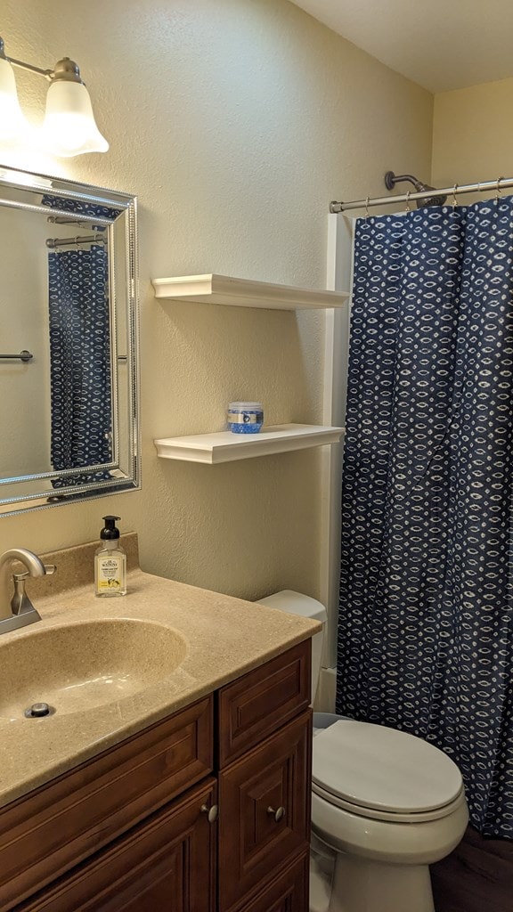 bathroom featuring curtained shower, vanity, and toilet